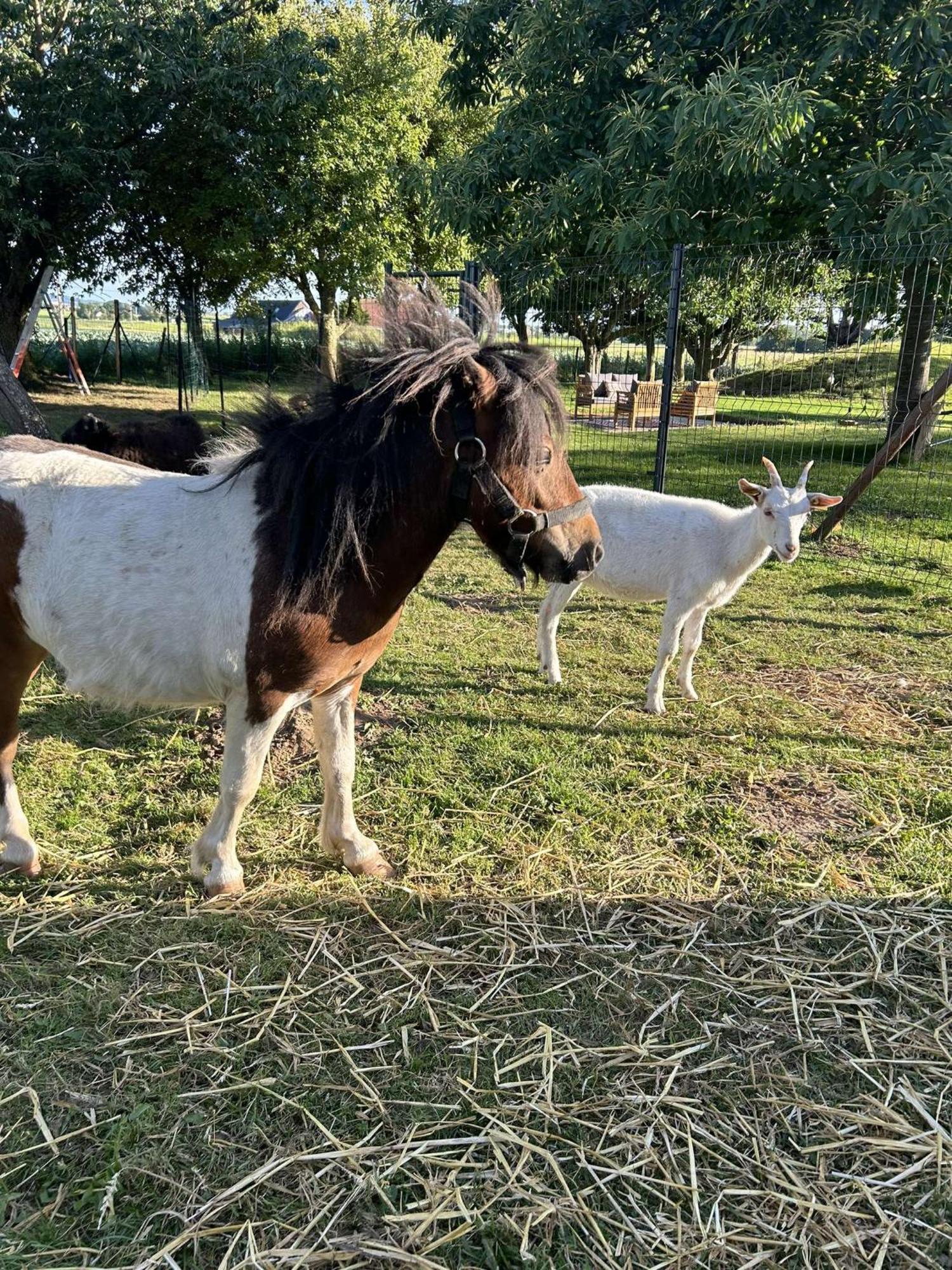 O Coeur Des Monts Et Merveilles Wormhout Exteriör bild